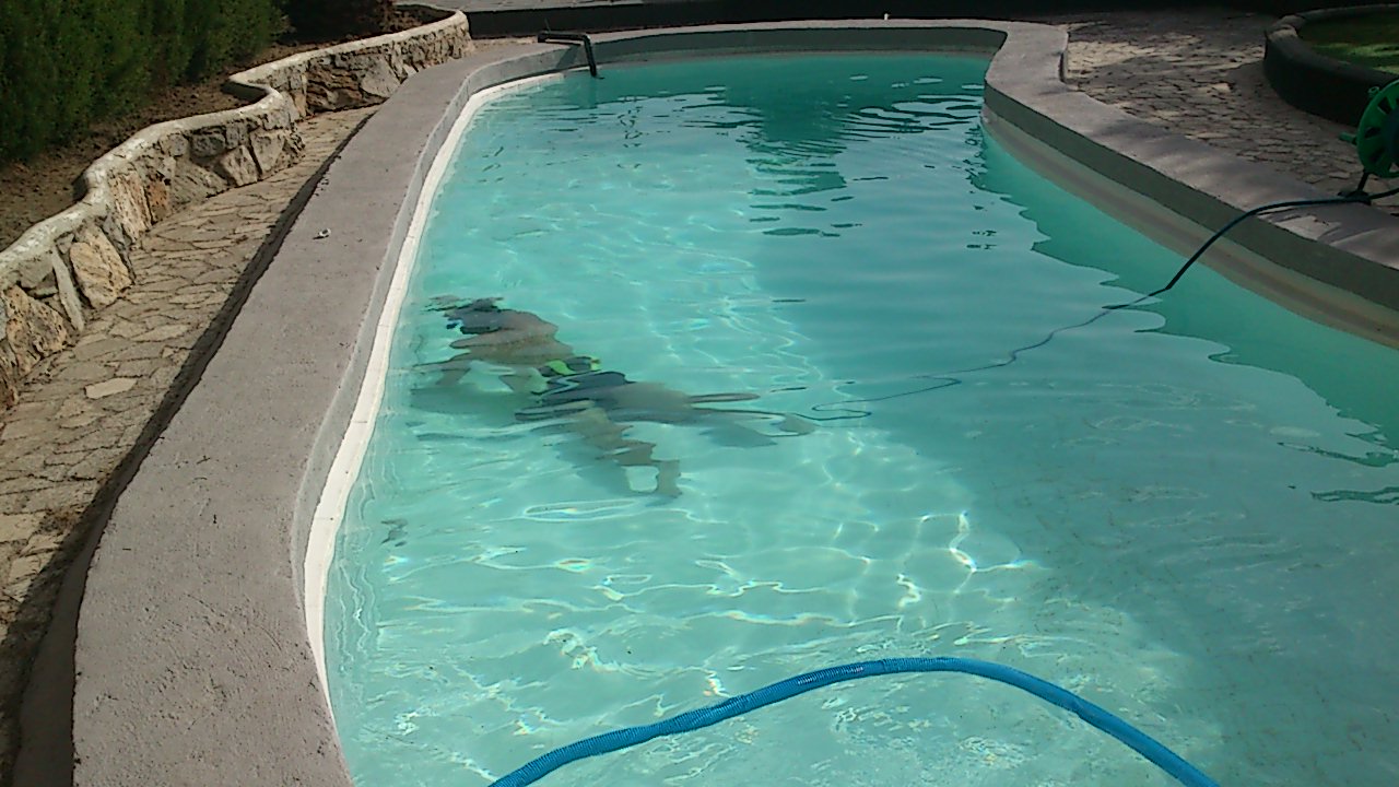 Técnico de Piscipool revisando el vaso de una piscina para localizar una fuga de agua